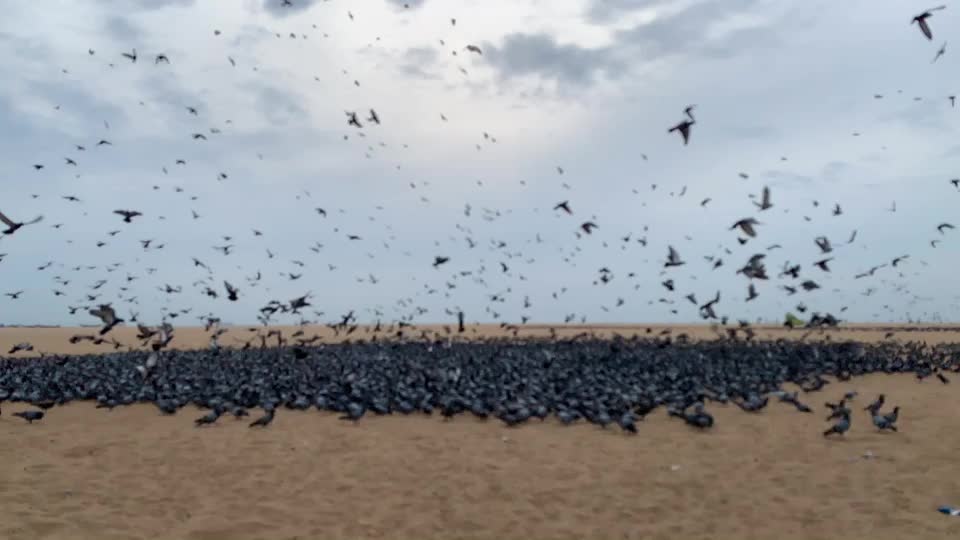 @TN 77