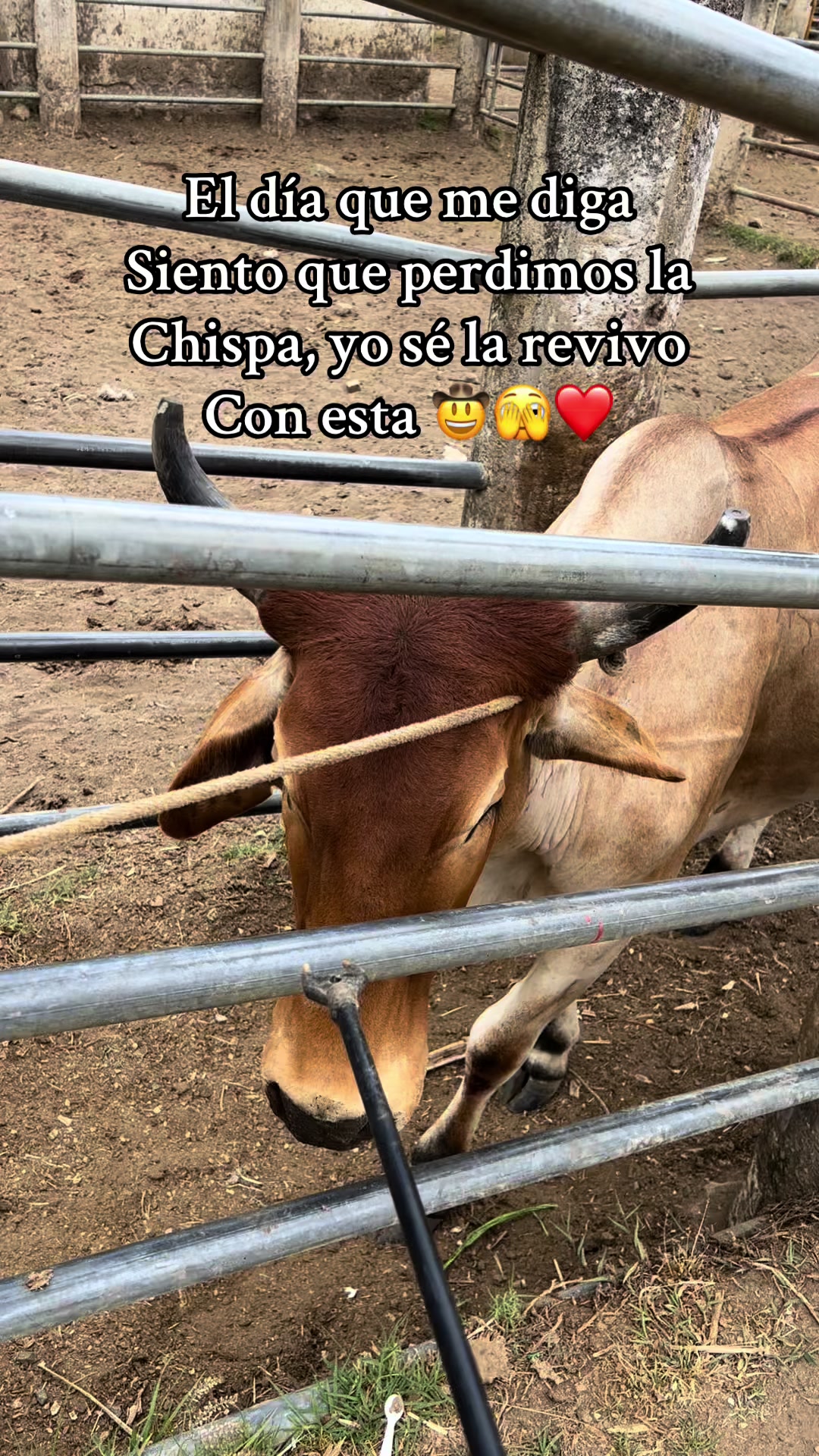 @Santiago_Ortega_🤠🍀🚀