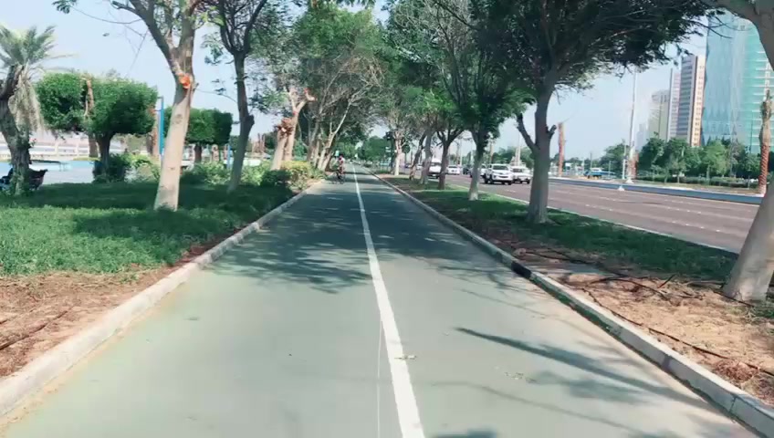 @fahibarsha