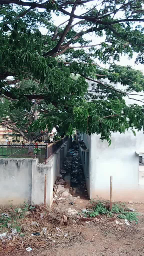 @Dileeptalkies