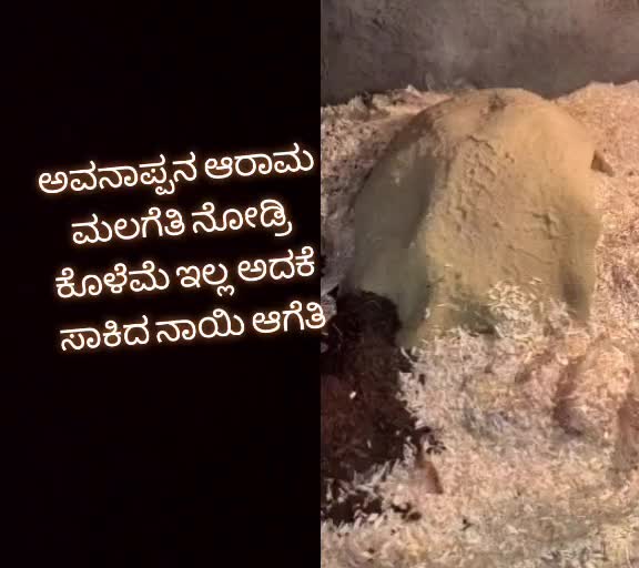 @ವಿಷ್ಣು ದಾದಾ