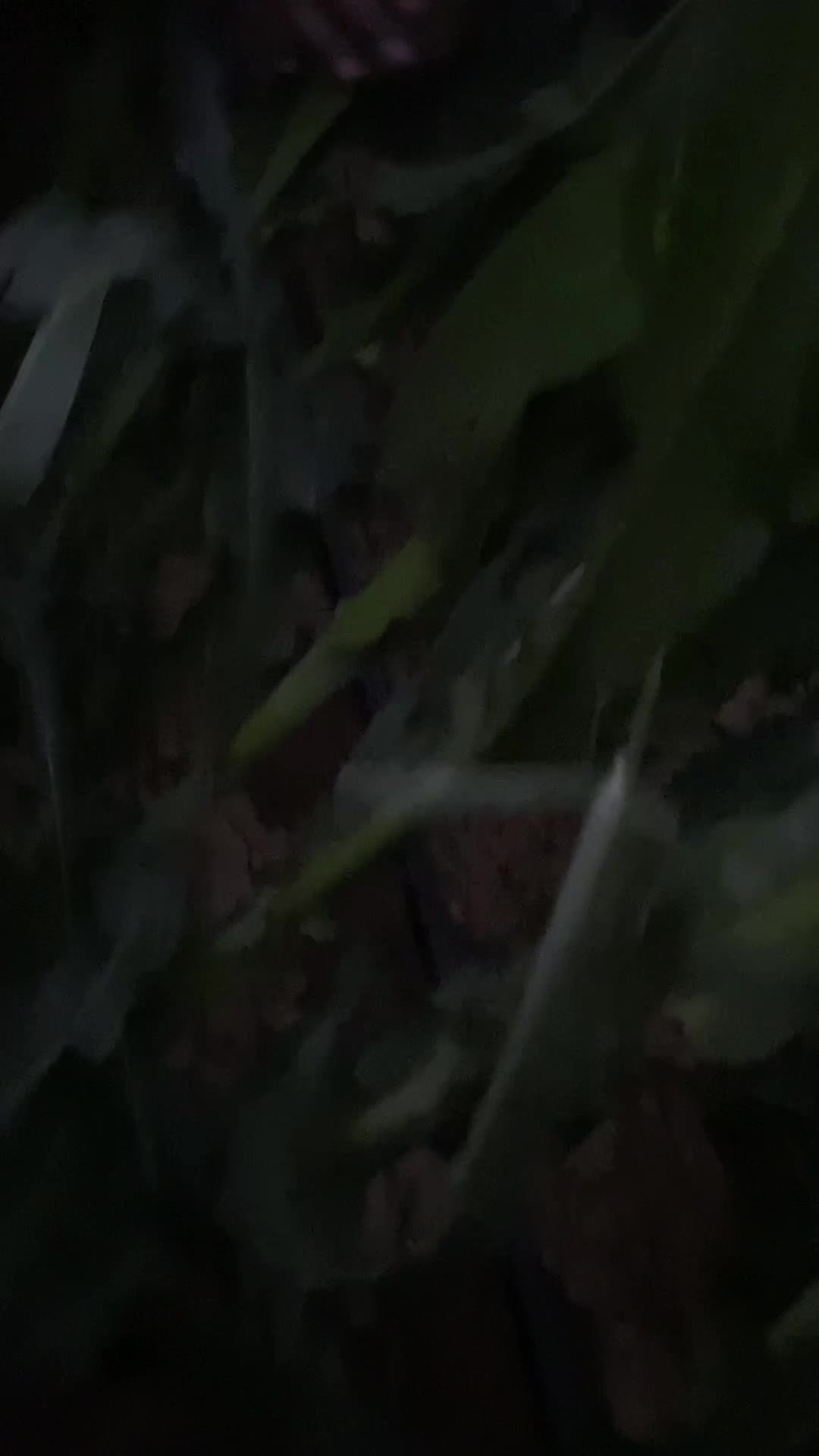 @AGROŞİMŞEK TARIM &Uuml;R&Uuml;NLERİ