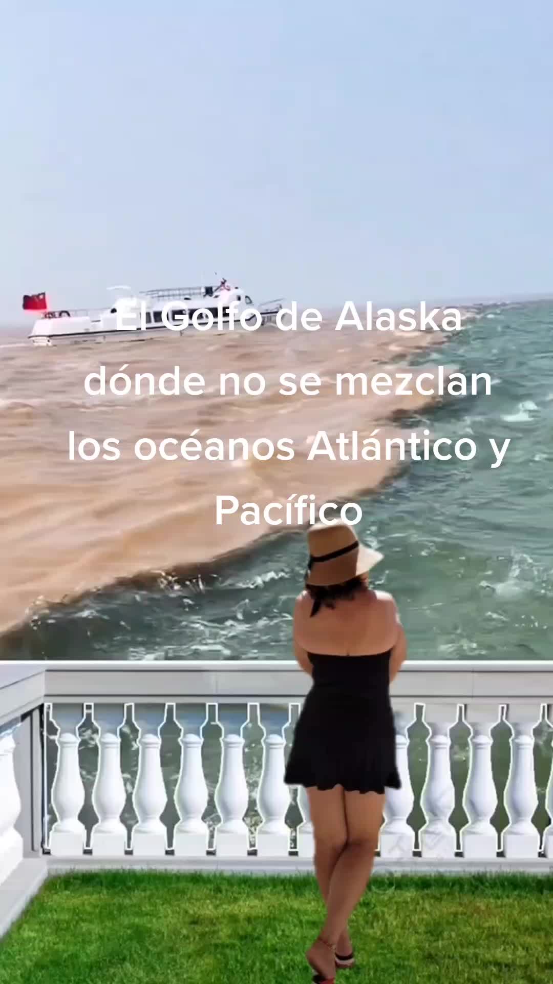 @Jessie Diaz