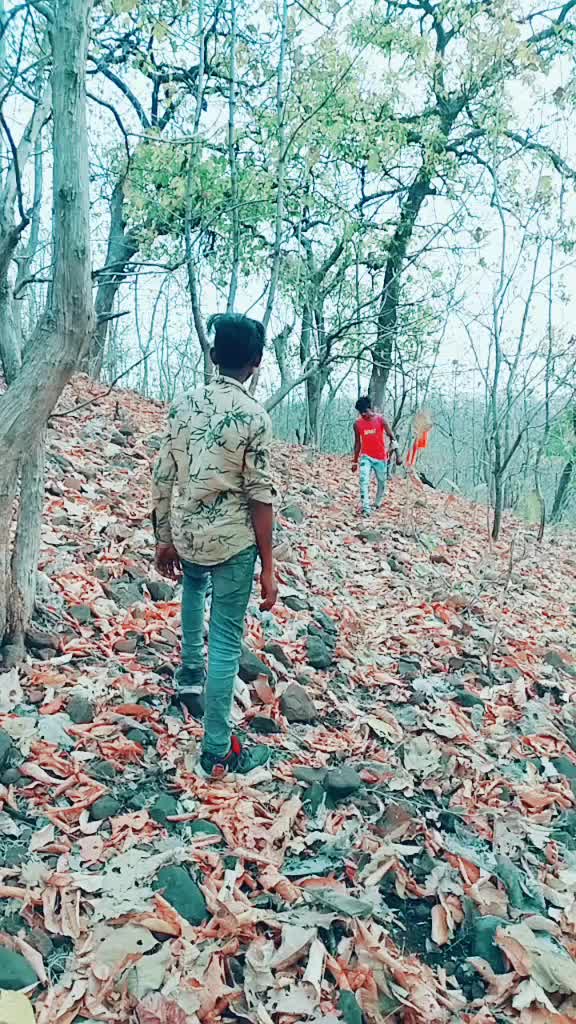 @badaljadhav892