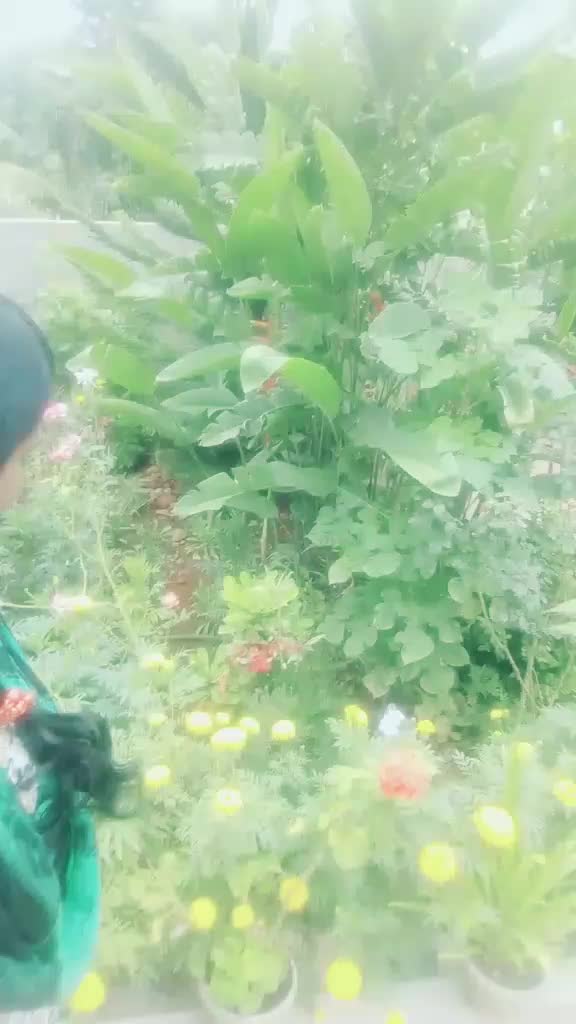 @stella1627