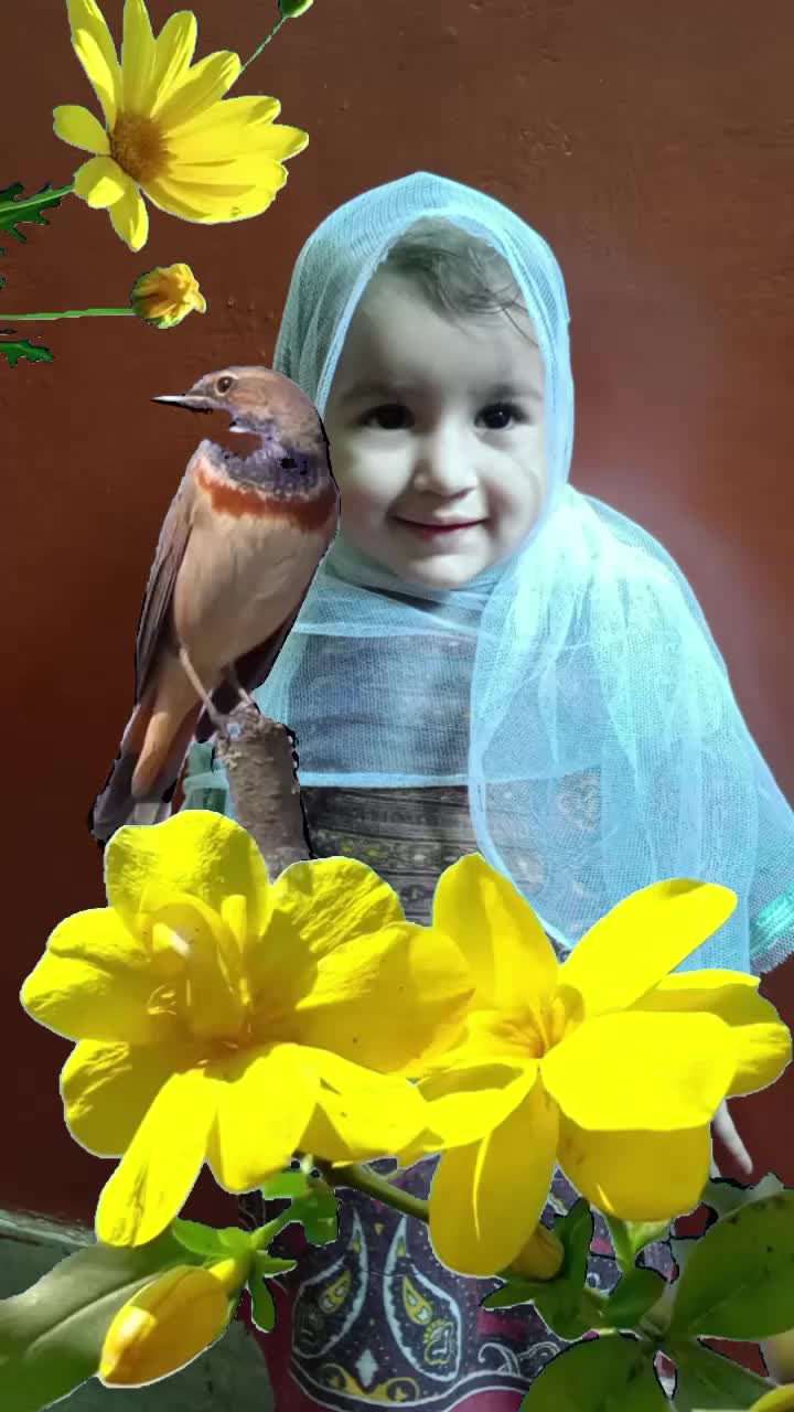 @Basher Ahmad 077