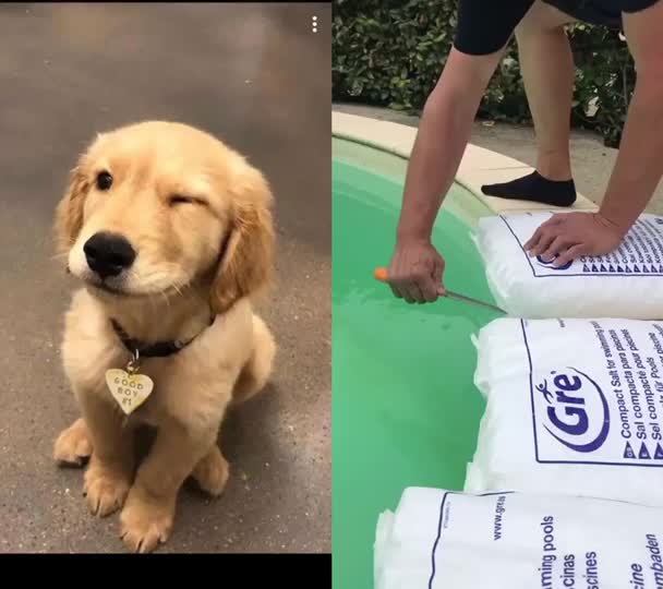 @jesuisunchienlol
