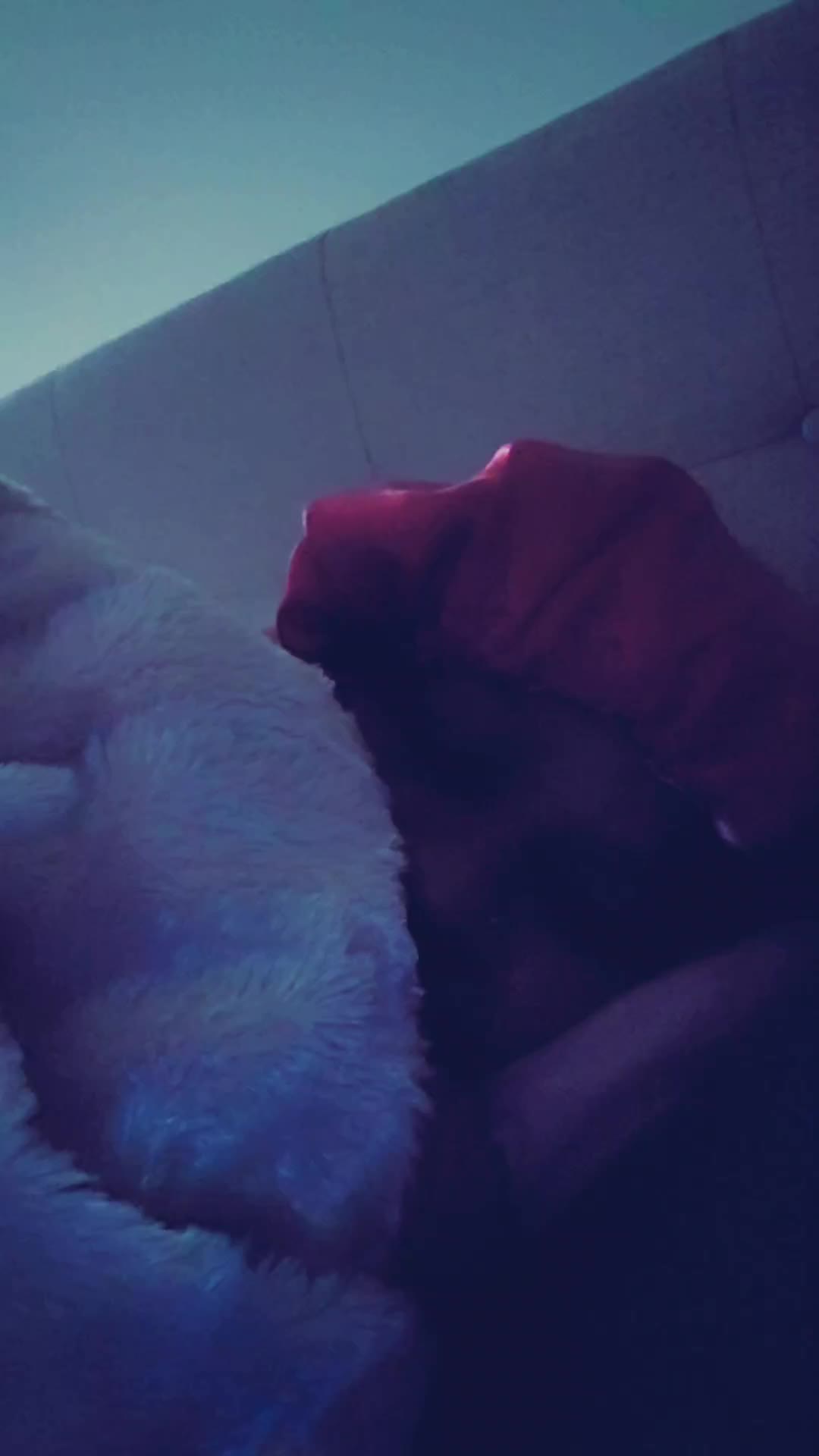 @Thanouch