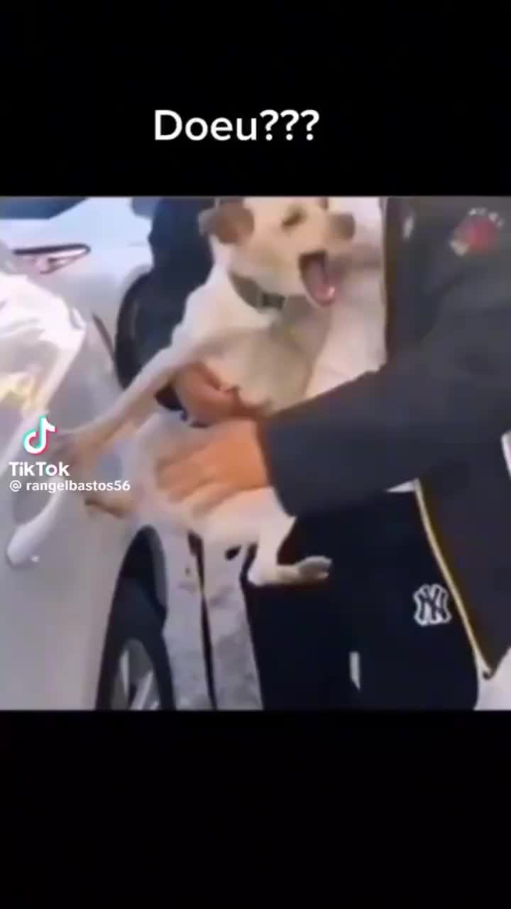 @Антон