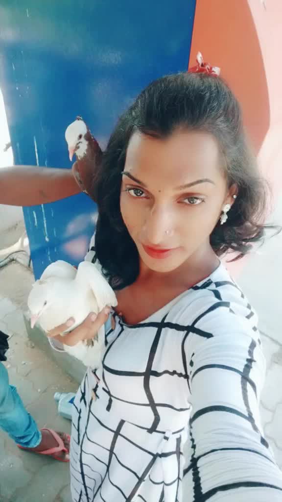 @user470269