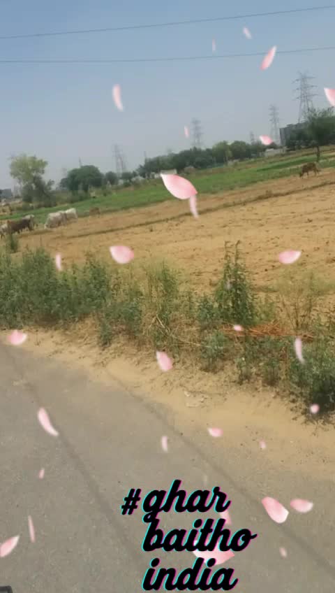 @Chandrathore60