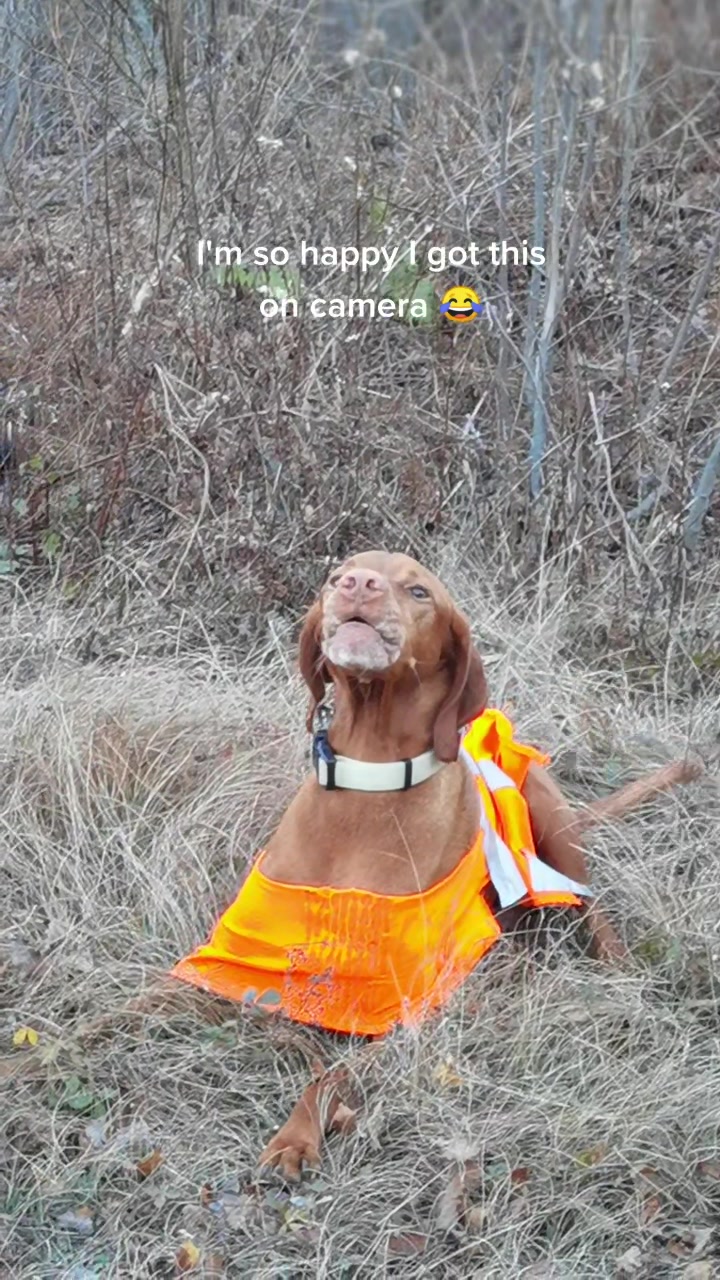 @brianne & your dog probably