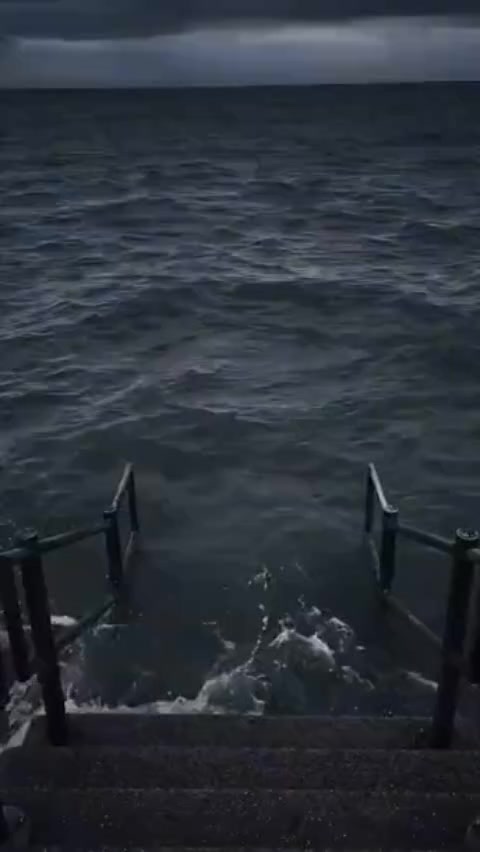 @𝙁𝙇𝙊𝙋𝙋𝘼_𝙈𝙀𝙈𝙀𝙍𝙊100