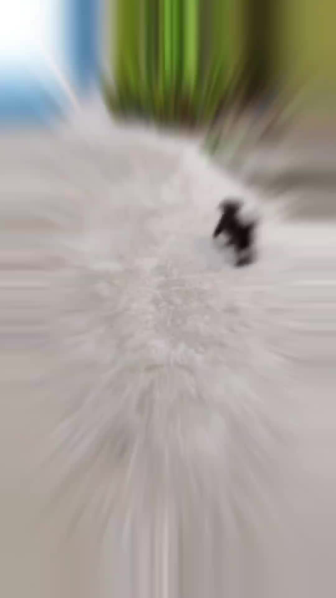 @exe