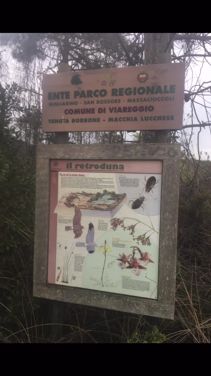 @Eleonora Moriconi