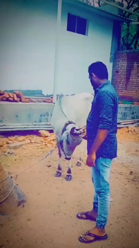 @தேனியின் நண்பன்