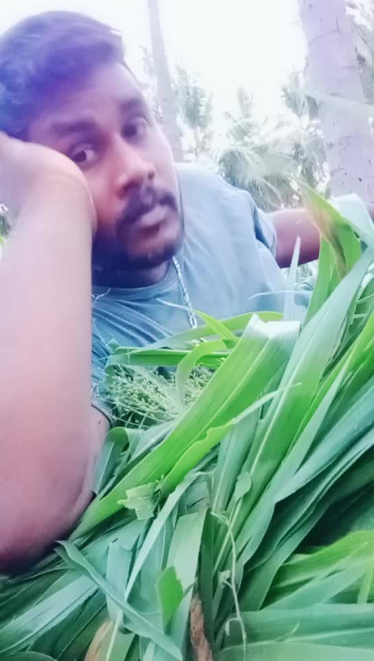 @சீனிவாசன் சேலம்