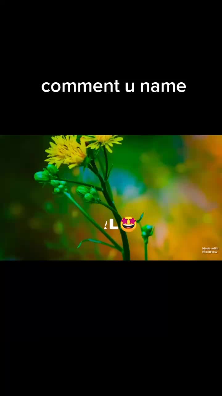 @musuku donga 143