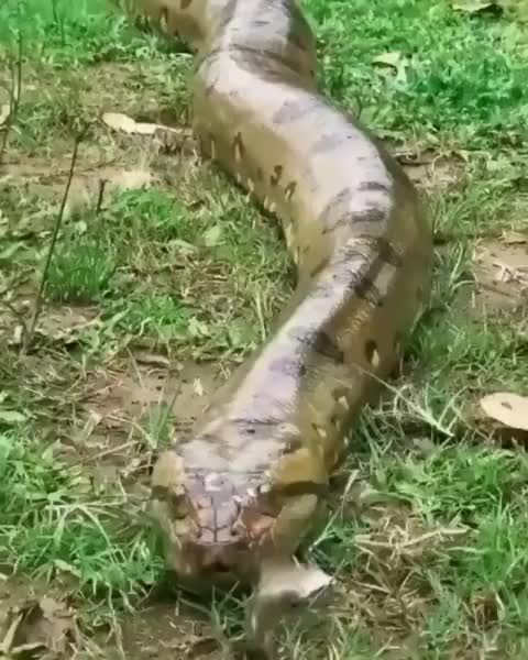 @jakhar1138