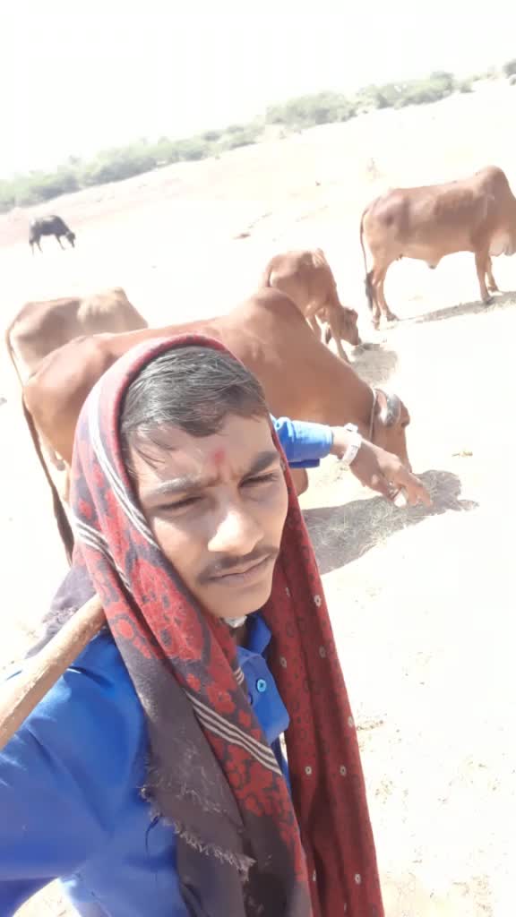 @Sukhdev Bharvad