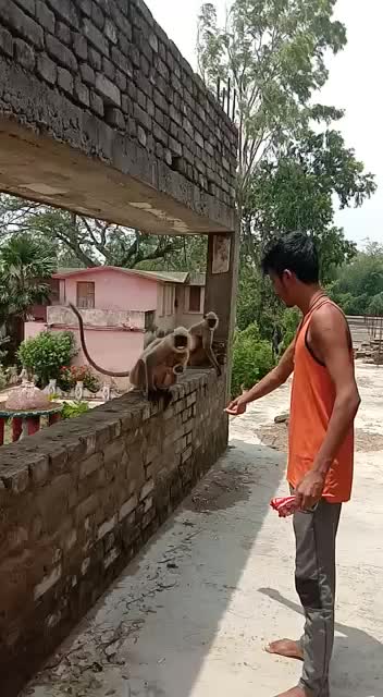 @RK kalam 786