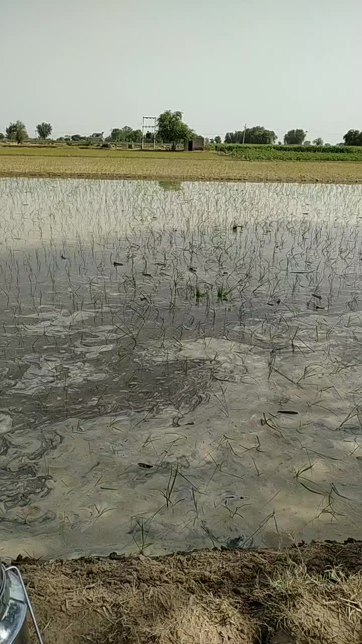 @user2550699394368