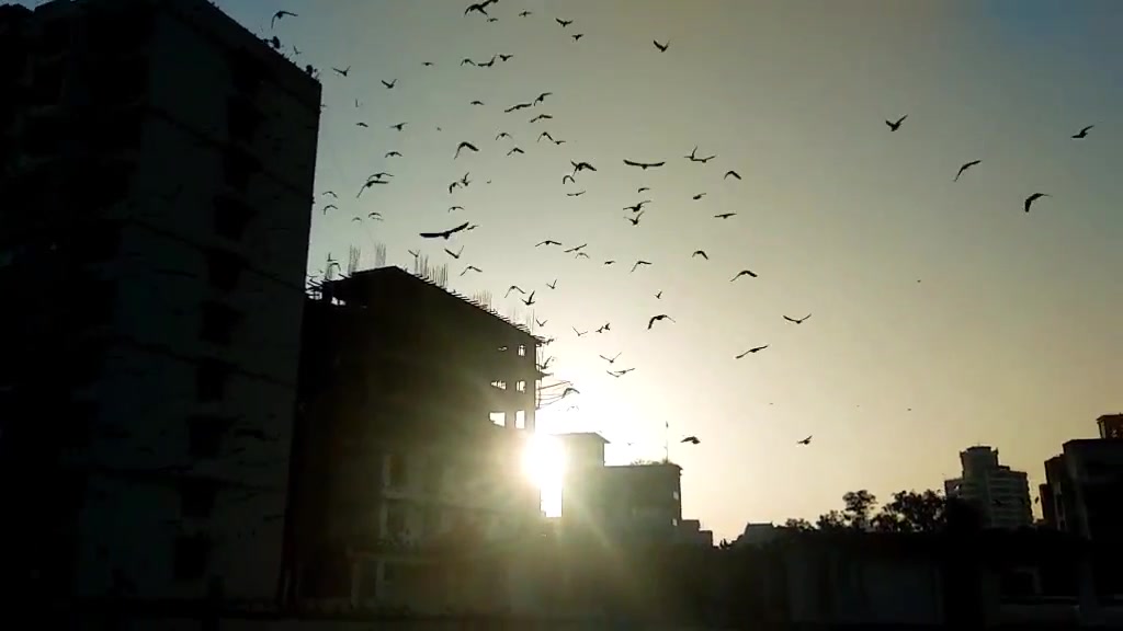 @Bhagyashree Gandhi