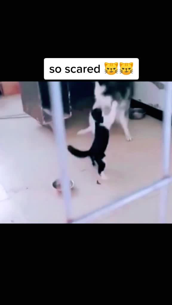 @user87357065893
