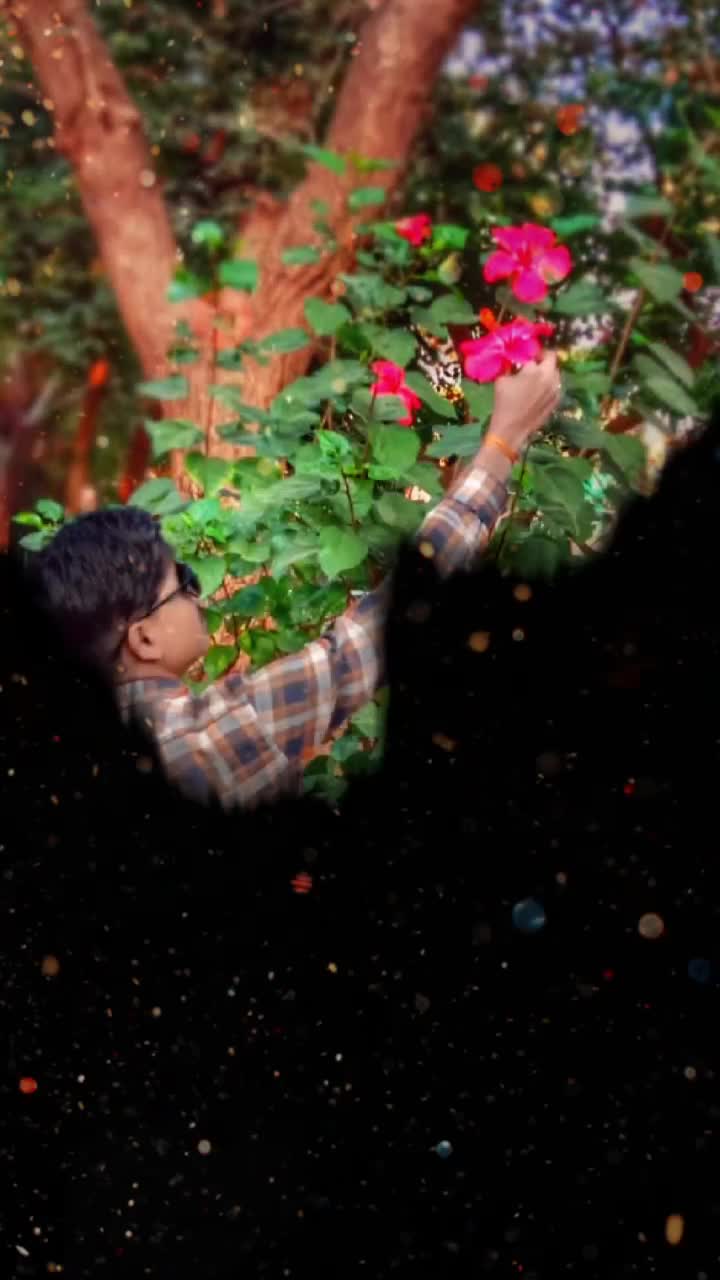 @harish mandloi