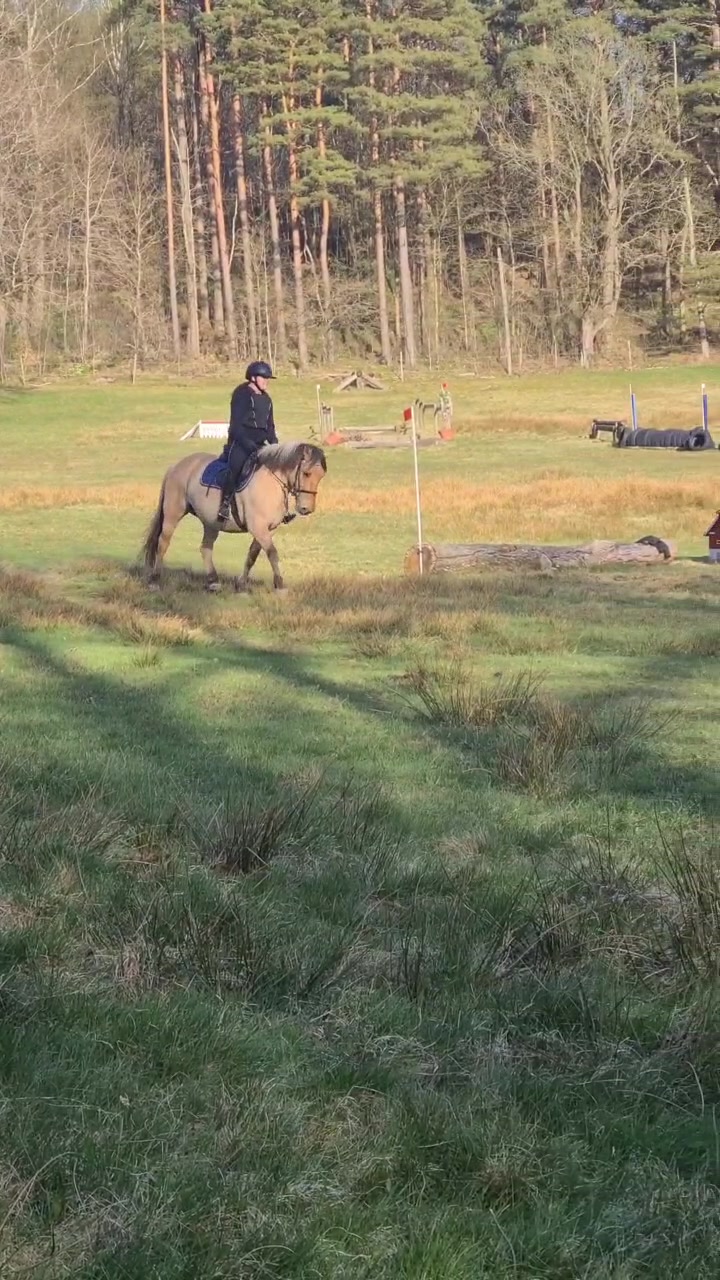 @🐎Ridning🐎 {3,8K}