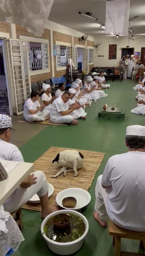 @Babá Weber de Ogum