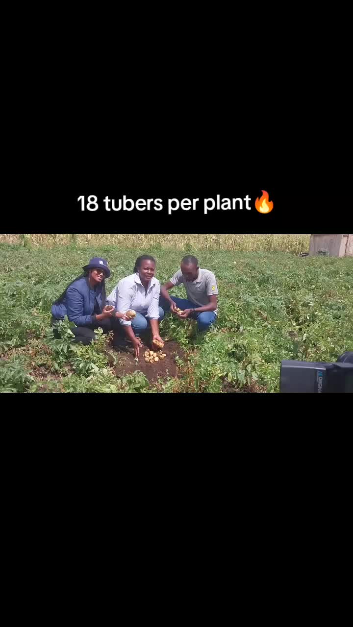 @agriinnovationhub