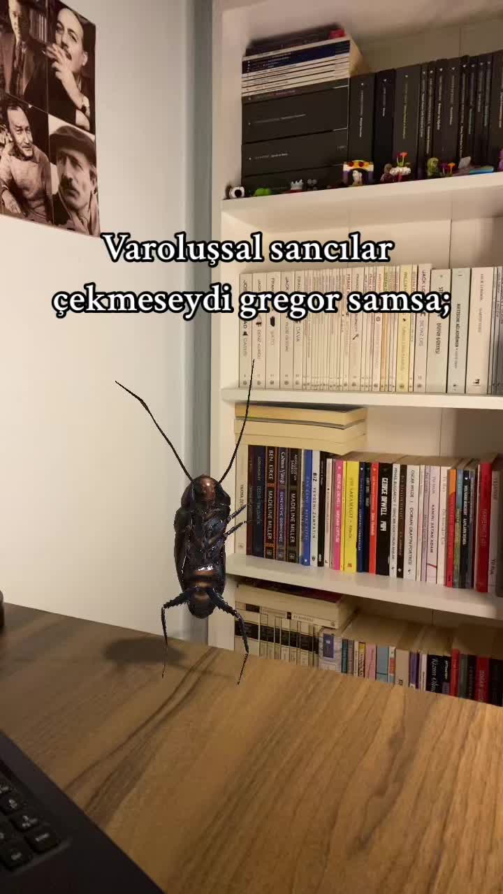 @irem🪭