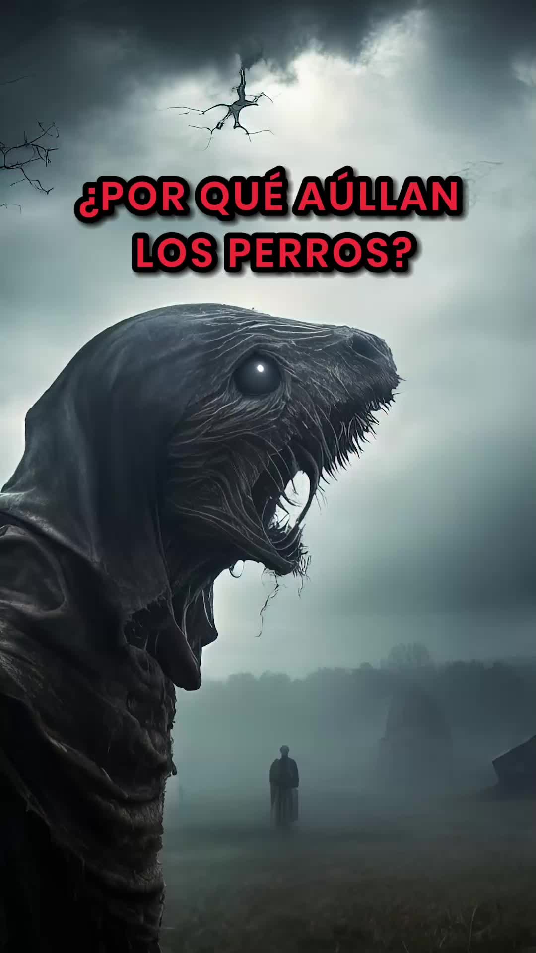 @TheVoid199