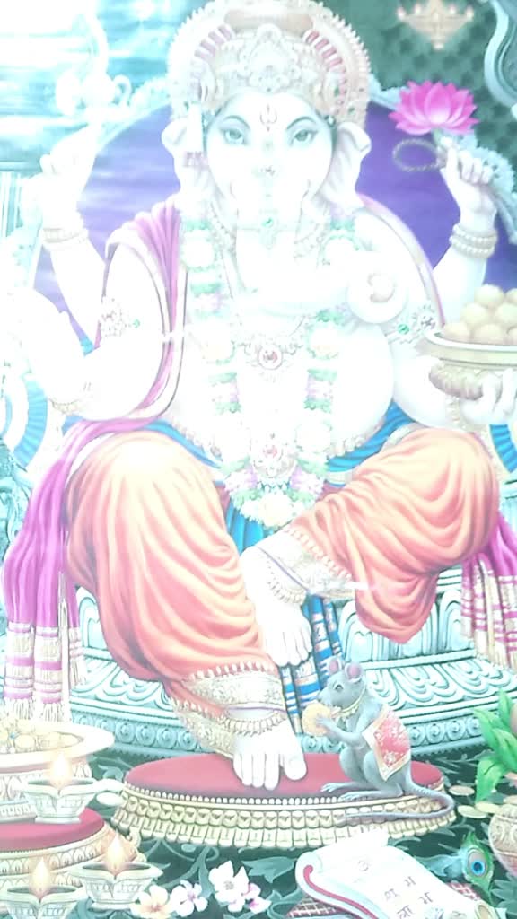 @mishraamresh633