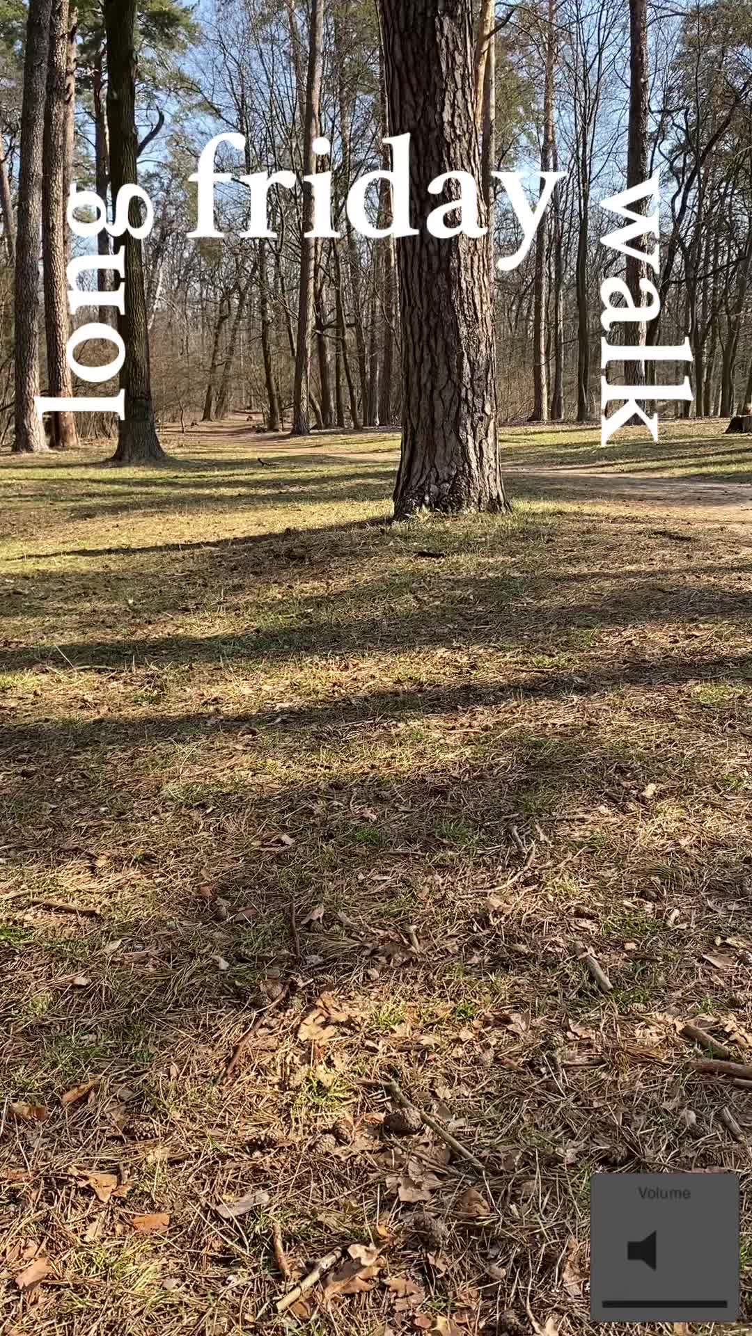 @Sheldonthedog