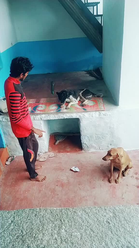 @ajay 935323