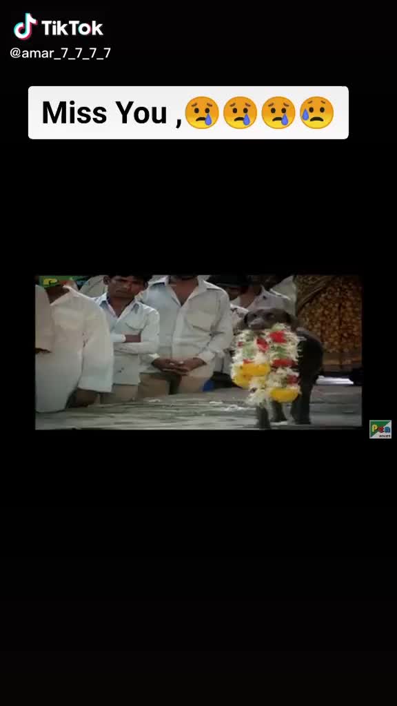 @tanmay Tariya