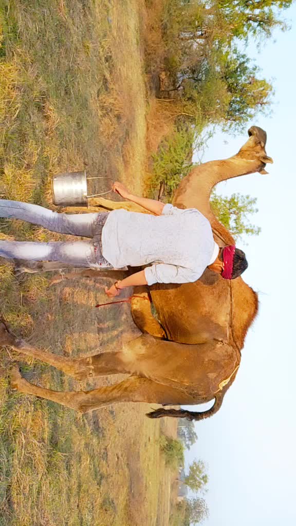 @😎H.k Rabari😎