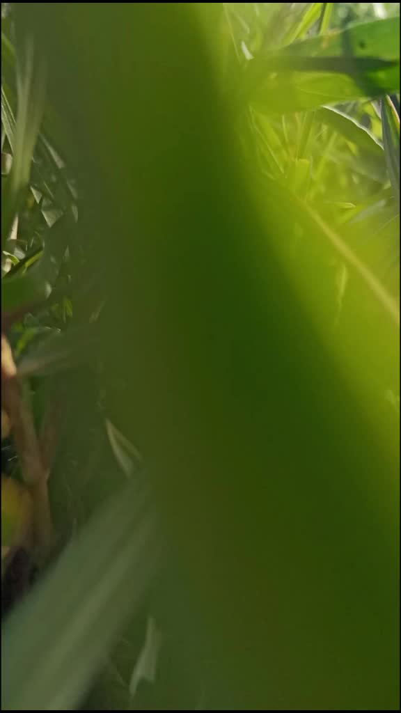 @Vinaykumar000