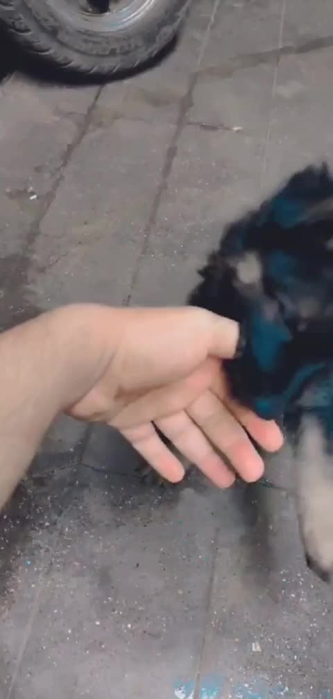 @亗BIGBOY亗