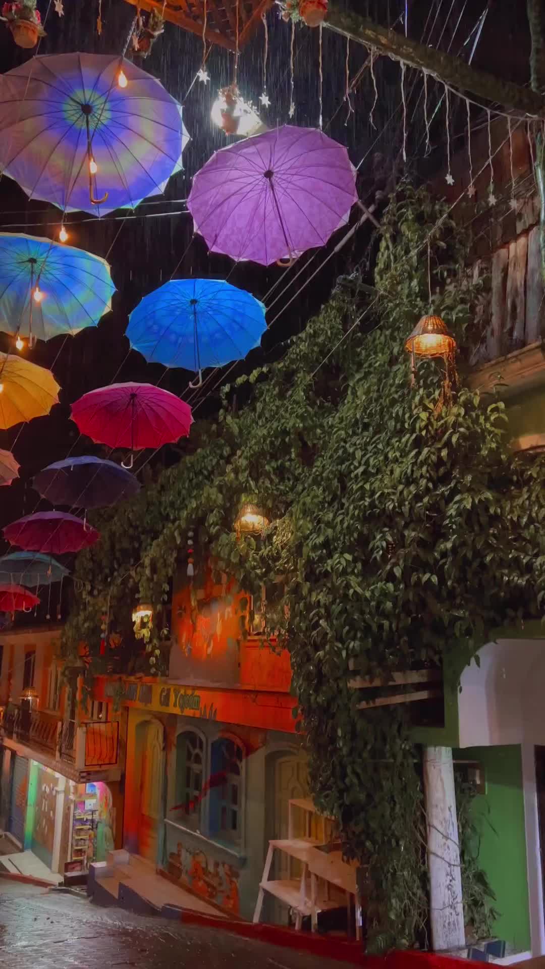 @ᴊʜ ᴇʟɪsᴇᴏ🧃