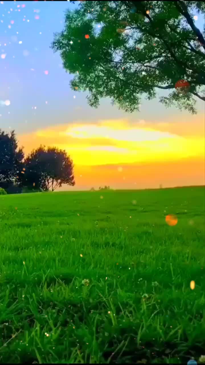 @Chauhan😎