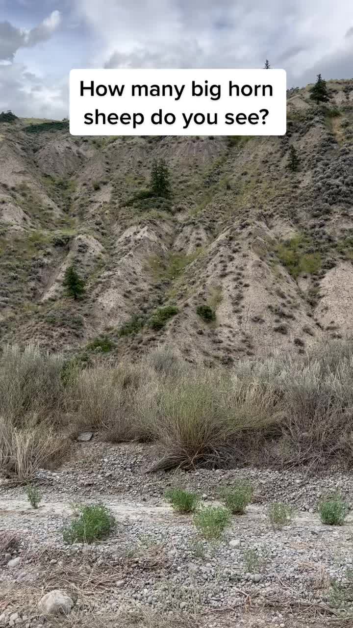 @rjsouthwest