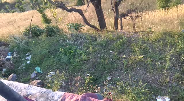 @Rakesh Naudiyal
