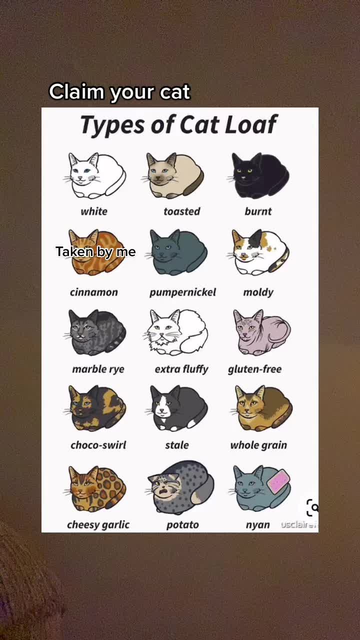 @๐๐๐ญ๐ข๐ โ