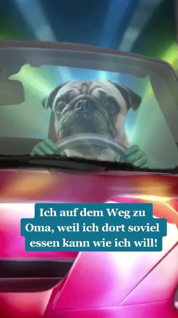 @lovelypug.kiba