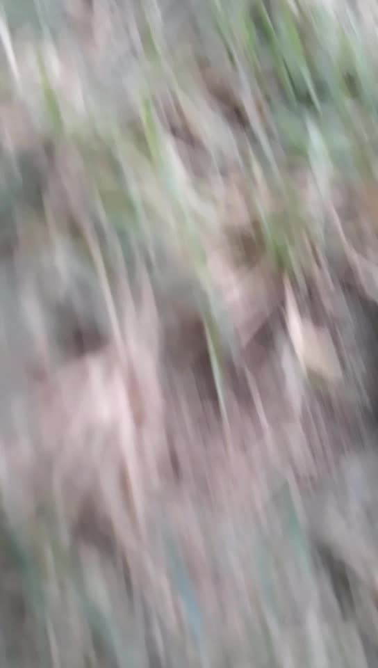 @kuru.....