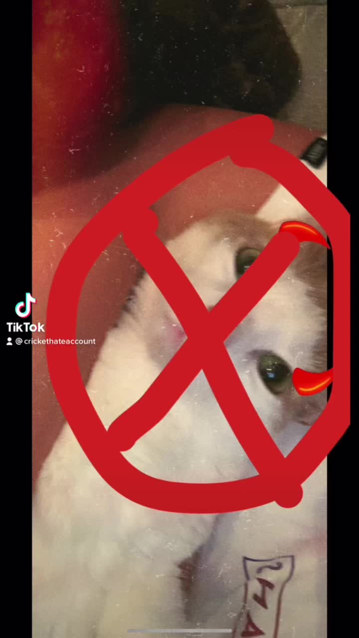 @crickethateaccount
