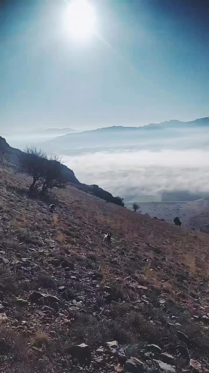 @boZKIR.1507